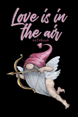 Love is in the Air: notebook