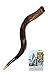 30"- 33" Medium Yemenite Kudu Horn Natural Finish Shofar by Peer Hastam, with Anti Odor Spray, Made in Israel