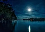 FAWFAW Puzzle Adulte 1000 Pièces, Puzzle 3D, Pleine Lune sur Le Lac, Cabane Forestière Jeux De Jouets pour Enfants Brain Challenge 75X50Cm
