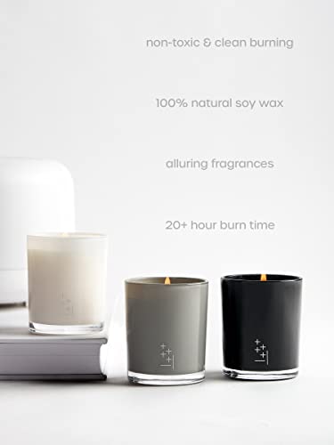 Home By Sp High End, Luxury Scented Candle Gift Set And Home Decor For Men & Women | Lush Scent Of Citrus/Berry On A Vanilla Coco Milk Base | 3 Candles 20+ Hour Burn Each | Clean Non-Toxic Soy Candles #TOP2