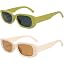Beige Frame/Brown Lens, Green Frame/Grey Lens