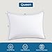 Sasttie Bed Pillows for Side, Back, and Stomach Sleepers - Oeko-Tex Certified Down Alternative Plump Filling - Hotel Quality and Machine Washable, White, Queen Size Set of 2
