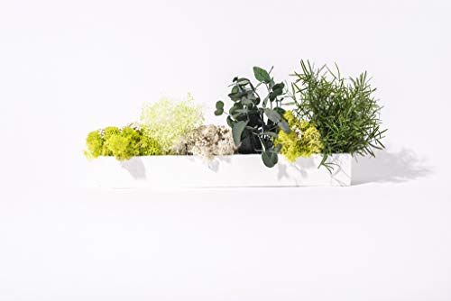 Tableau végétal barre 30 verts