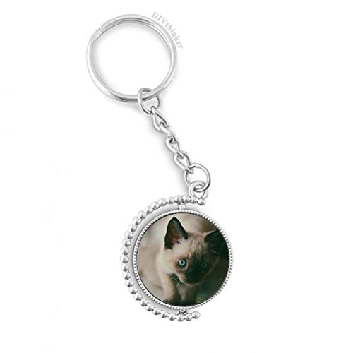 Llavero de gatito azul con anillo Pilgrim un detalle original de ojo animal gris