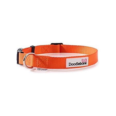 doodlebone padded collar
