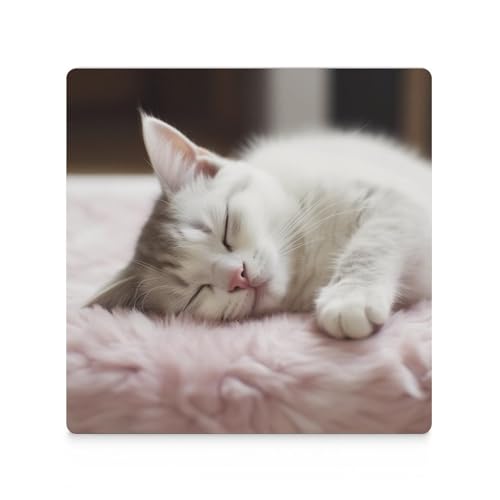 Dessous de verre en céramique absorbant chat anti-rayure table