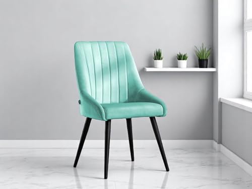 Image of Finch Fox Morris Velvet Dining Chair for Living Room, Bedroom, Home Office with Black Metal Legs in Pista Color