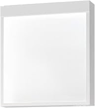 Panasonic Ceiling and Wall Direct Installation, Ceiling Hanging Type LED Guide Light, Single Sided, All-Purpose Type (20 Minutes), Class B, Type BH (20A Type) FA40312CLE1