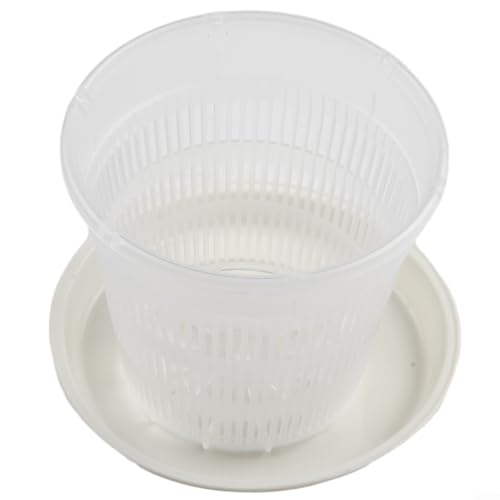 Maceta de orquídea transparente con estomas para un flujo de aire y drenaje óptimos (11 cm)