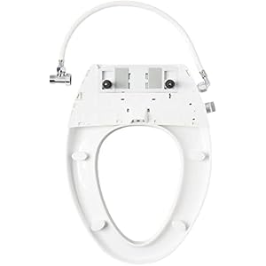 Signature Hardware 447365 Bradenton 1.28 GPF Two-Piece Round Toilet with 10" Rough-In - Seat Included - White Signature Hardware 447365 Bradenton 128 GPF Two Piece Round Toilet with 10 Rough In Seat Included White