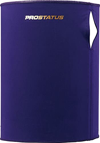 ゼット 野球 プロステイタス フェイスガード パープル FREE BOX21M