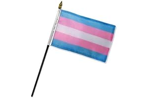 AES Small 4x6 inch Transgender Hand DESK Flag