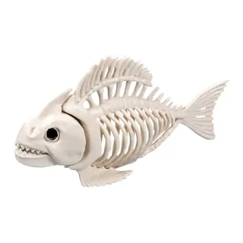 Squelette de poisson Boland 72400 Cover