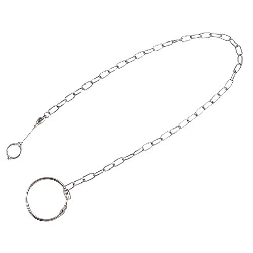 iplusmile Vogel Accessoire 1 St Papegaai Roestvrij Staal Gescheiden Enkelband Gesp Ketting Cirkel Vogels Voet Lock - Afbeelding 5