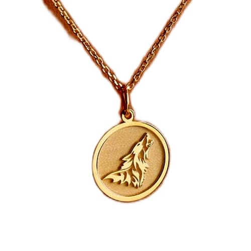 Collier en argent sterling 925 anti-ternissement avec son pendentif aigle durable