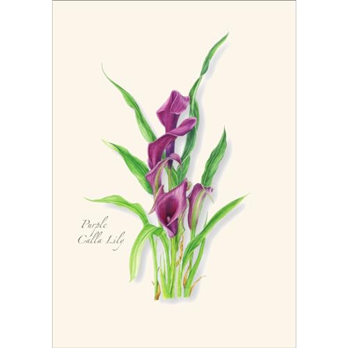 Image of Earth Sky + Water - Calla Lily Assortment Notecard Set - 8 Blank Cards with Envelopes (4 each of 2 styles)