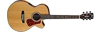 SFX Cutaway Spruce Mahogany Natural Satin