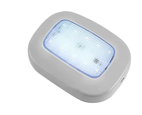 Éclairage arrière de voiture 12V avec coque grise pour un remplacement de toit idéal