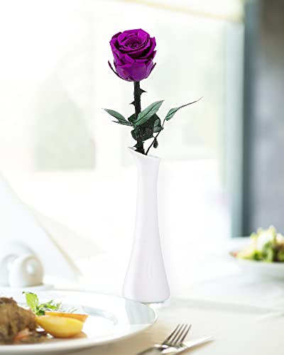 Image of Purple Flowers for Delivery Prime, Preserved Purple Roses Flower Gifts for Women, Real Roses Single Rose Gifts for Her, Mom Birthday Gifts from Daughter, Valentines Flowers