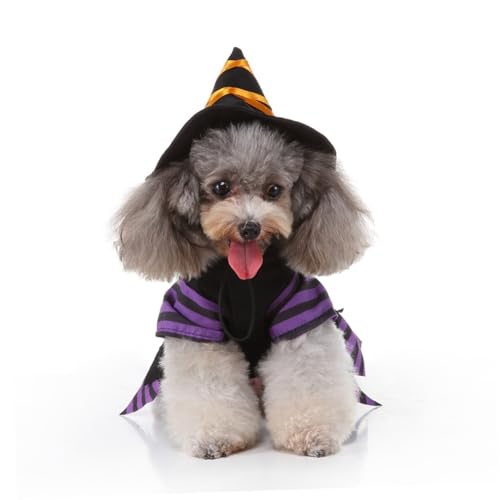 Disfraz Halloween Bruja para Perros Tamaño S miniatura 2