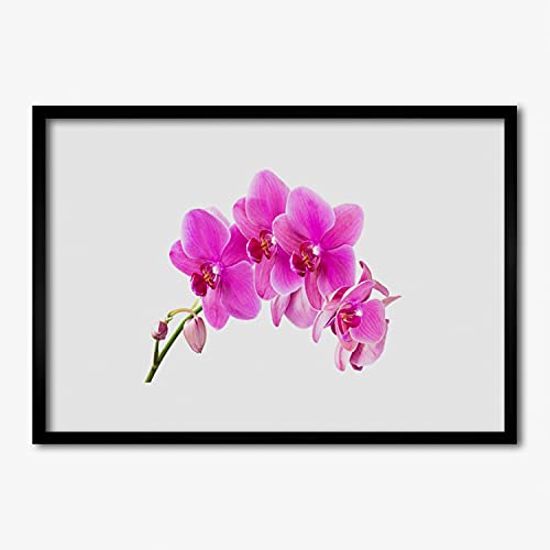 Cadre en MDF avec affiche orchidée 70x50 cm pour habiller une cloison vide