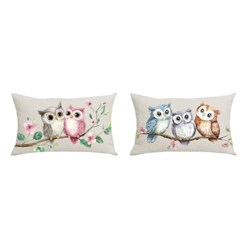 WENIANRU Set of 2 Pink Blue Brown Owl Birds Spring Summer Fall Y'all Home Sofa Chair Bed Decora