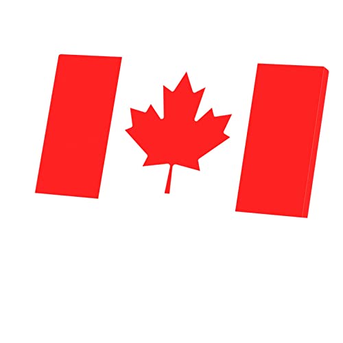 Football Equipe National Canada tableau sport toile 80 cm x 40 cm