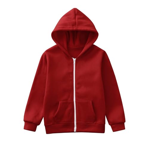 Toddler Baby Boys 2 Piece Sweatsuit Little Girls Fleece Hooded Tracksuit Kids Jogging Sweatshirt Set Infant Trendy3