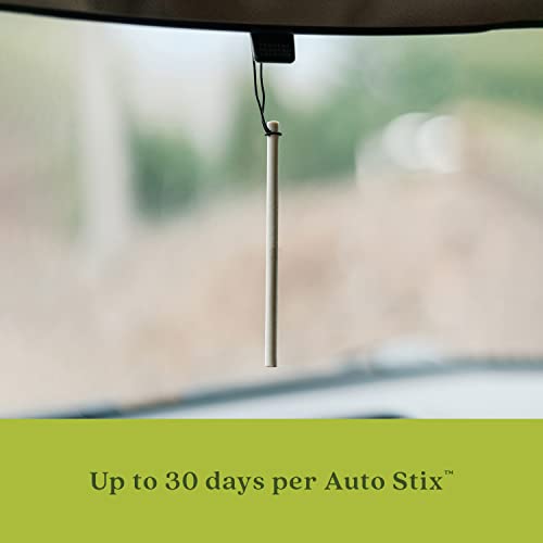 Enviroscent Non-Toxic Hanging Car Air Freshener (Black Vanilla + Mandarin) Includes 6 Auto Stix | Diffusers With Essential Oils #TOP5