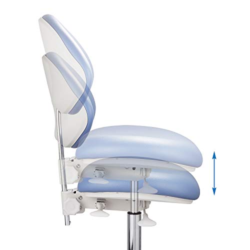 JMU Napa Doctor\'s Stool, Professional Ergonomic Heavy Duty Dental Operator Dentist Chair Full Adjustable for Dental Office Lab Medical Clinic Hospital, Atlantis Blue