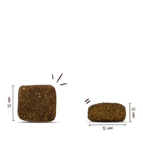 bosch HPC BIO | Puppy Hühnchen & Karotten | Hundefutter für Welpen aller Rassen | 100 % Rohstoffe aus nachweislich biologischem Anbau | 1 x 11.5 kg