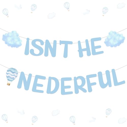 Hot Air Balloon Party Banner Blue Onederful 1st Birthday Decors for Boys Isn't He Onederful Banner Cloud Hot Air Balloon Hanging Decor Mr Onederful Travel World Adventure First Birthday Party Supplies