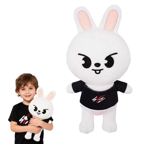 KOMEIYL Atray Kids Peluche, 25cm Skzoo Poupée en Peluche, Mignon Personnages Dessins Jouets en Peluch, S'applique Enfants Compagnie Emotionnelle Jouets (A)