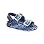 Blue/White