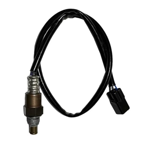 Sonde lambda pour W800 Café Racer balades sereines en moto EJ800