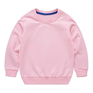 HAOLUKI Toddler Kids Baby Boy Girl Long Sleeve Sweatshirt Casual Shirt Thin Pullover Infant Crewneck Sport Tops