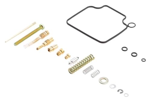 Réparation carburateur pour TRX300 350 pour rouler sur chemins et forêts