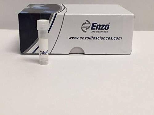 Enzo Life Sciences 905-711-100 - - Anti-TLR8 Rabbit Polyclonal Antibody - Each