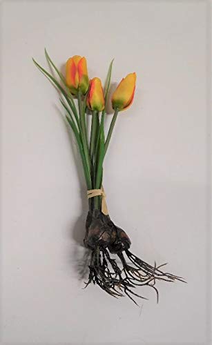 3 x Tulpe mit Zwiebel Frühling Seidenblume Kunstblume orange gelb 1116049-70 F64