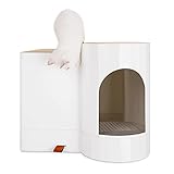 2. Las fotos del producto no incluyen productos que no sean productos.