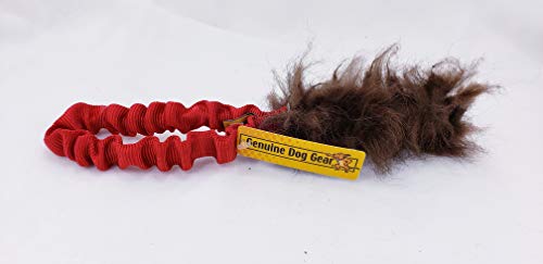Genuine Dog Gear Buffalo Bungee Bar