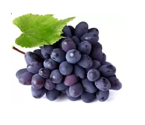 Image of Fresh Grapes Sharad Seedless,Fresh,500 Gram