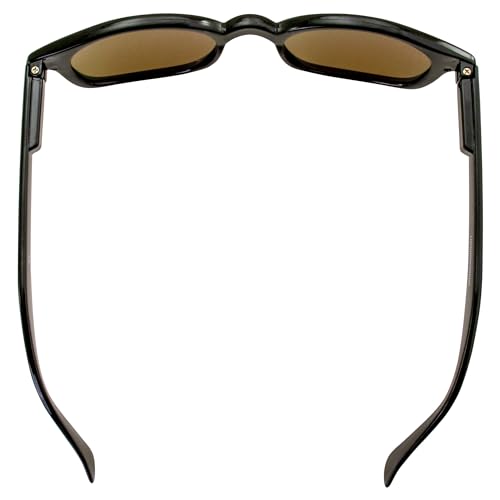 LOCKDOWN MOTORCYCLE SUNGLASSES BLACK FRAME DK BROWN LENS WITH FREE POUCH KD'S4