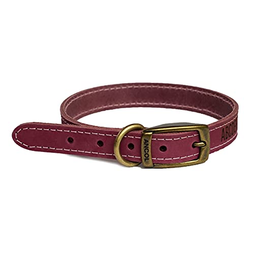 Collar de Perro Personalizado, Rojo/Grande (Opcional: Correa) Cover