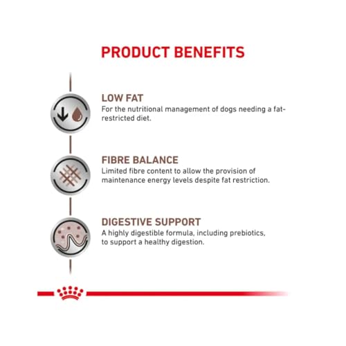 Royal Canin Gastrointestinal Low Fat Mousse | 12 x 200 g | Diät-Alleinfuttermittel für ausgewachsene Hunde | Kann zur Unterstützung Einer gesunden Verdauung beitragen