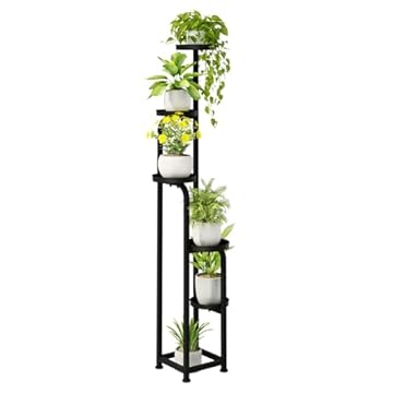 Top Indoor Plants That Will Transform Your Space Instantly 3 best indoor plant tallest