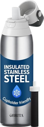 Image of Brita Stainless Steel Premium Filtering Water Bottle, BPA-Free, Reusable, Insulated, Replaces 300 Plastic Water Bottles, Filter Lasts 2 Months or 40 Gallons, Includes 1 Filter, Stainless - 20 oz.