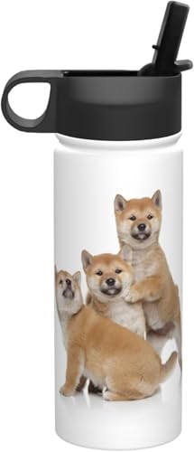 Č q   ^fM ۉ ۗ X|[c{g lC XeX{g X|[cΉ RȂ 530ml j̎q ̎q  v[g