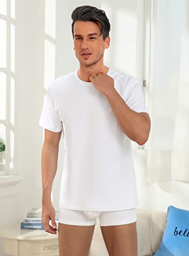 Colorfulleaf Men's Cotton Undershirt Crew Neck T-Shirt No Tag Moisture-Wicking Tee Undershirts Soft Classic Tees,1-Pack (White,L) #TOP1
