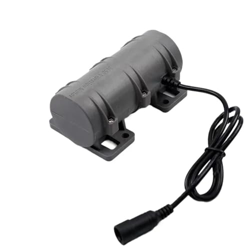 Moteur vibrant R3650 micro moteur électrique DC 12V 24V basse vitesse micromoteur
